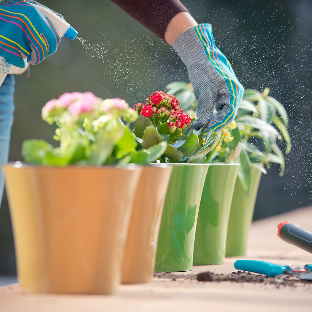 Ghiveci ARTE 5 L (menta-alb)