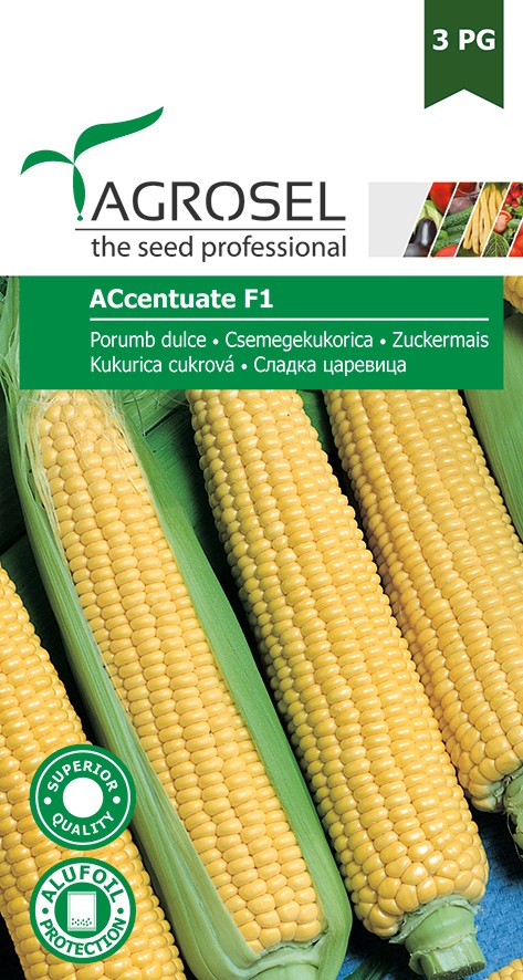 Seminte de Porumb zaharat Accentuate F1 20 g