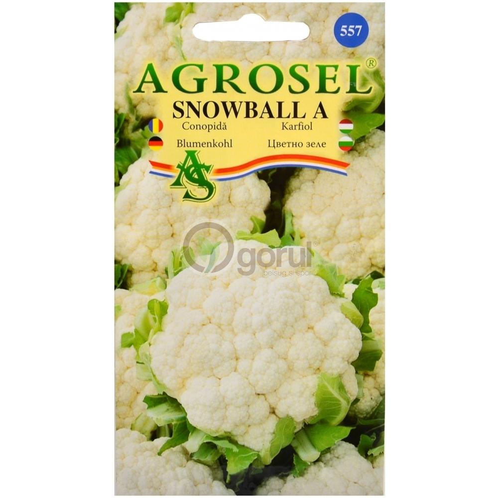 Seminte de Varza Snowball 1 g (1209 91 800)  AS