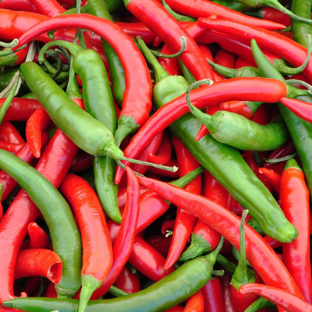 Семена Перец острый Dracula 1 г  AS