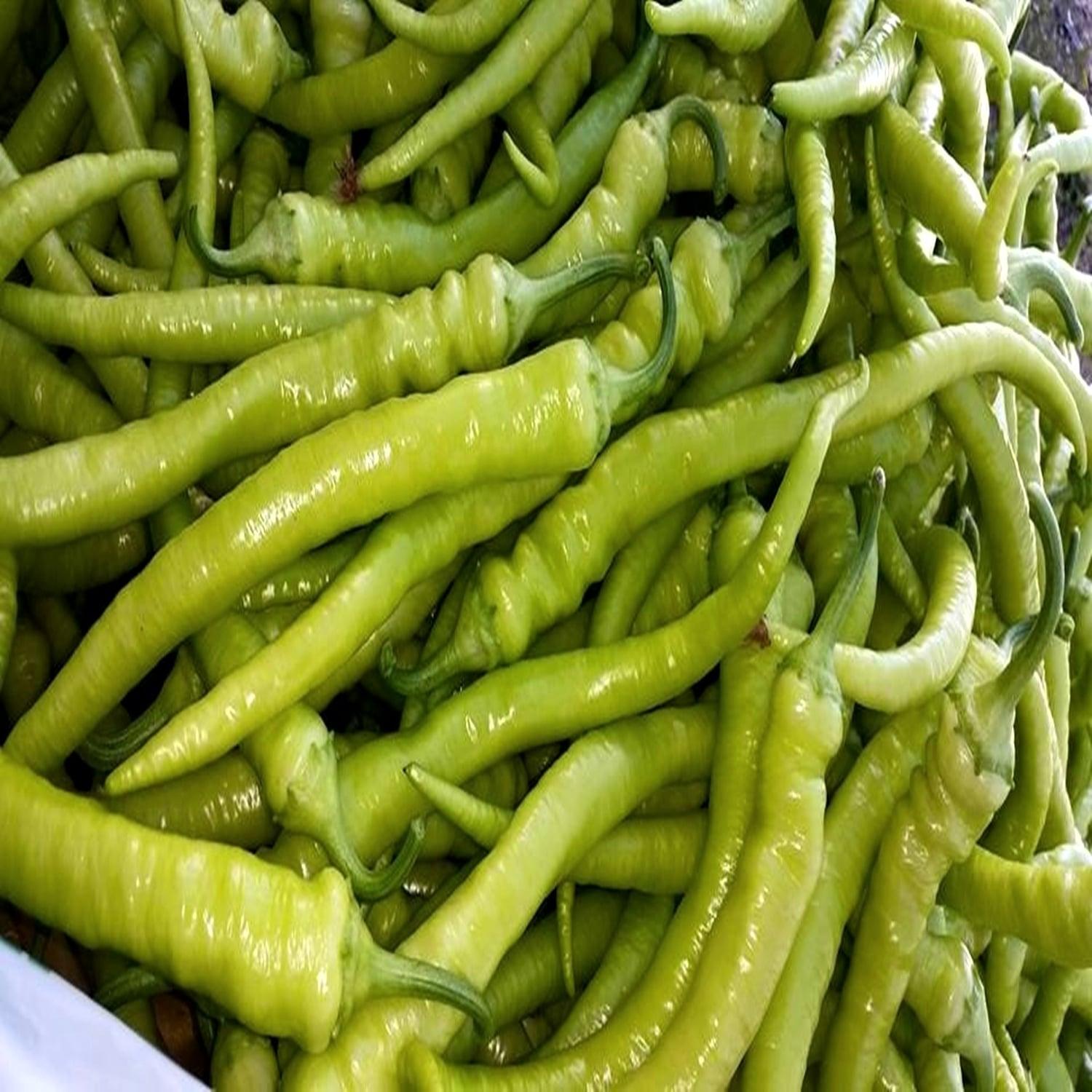 Семена Перец острый Dracula 1 г  AS