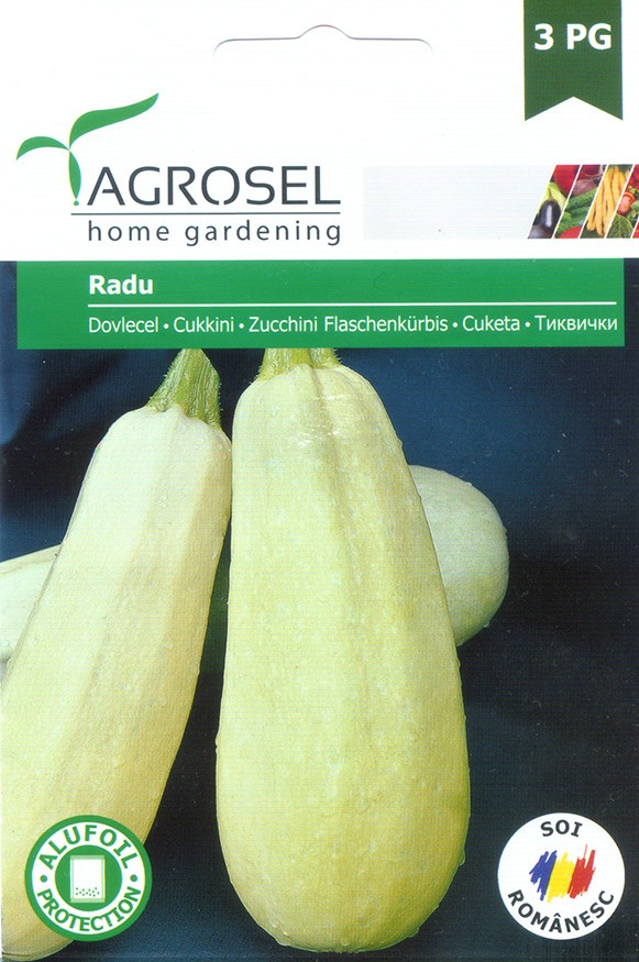 Семена Тыква Radu 3 г  ST