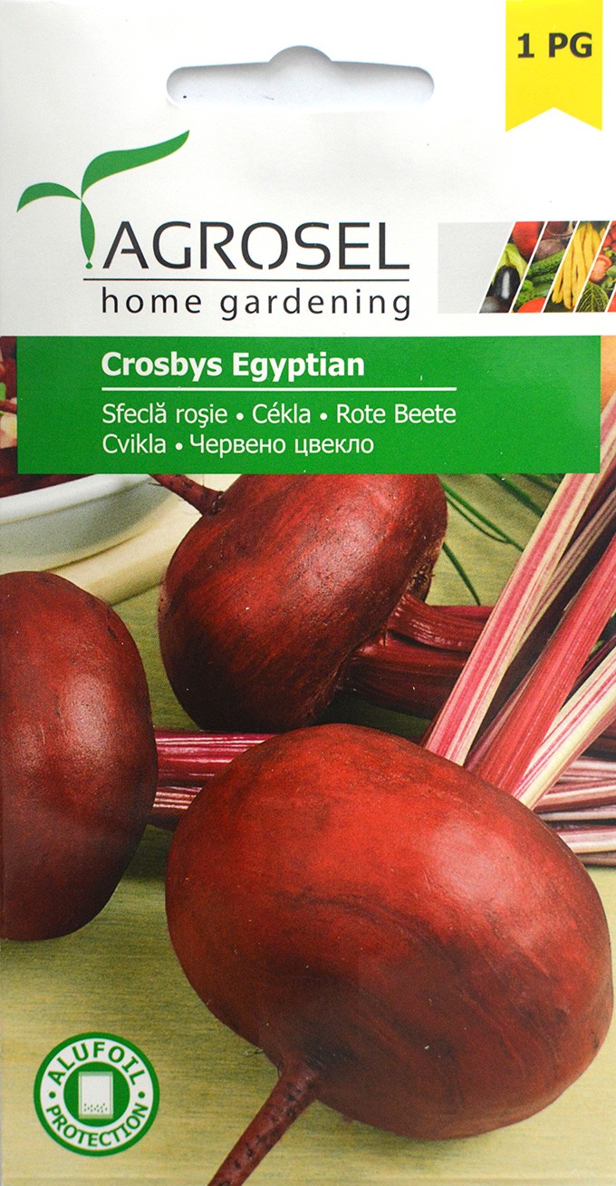 Seminte de Sfecla rosie Crosbys Egyptian 4 g (1209 91 300)  AS