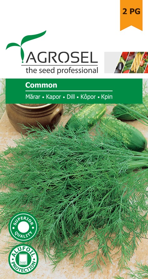 Семена Укроп 5 г  AS