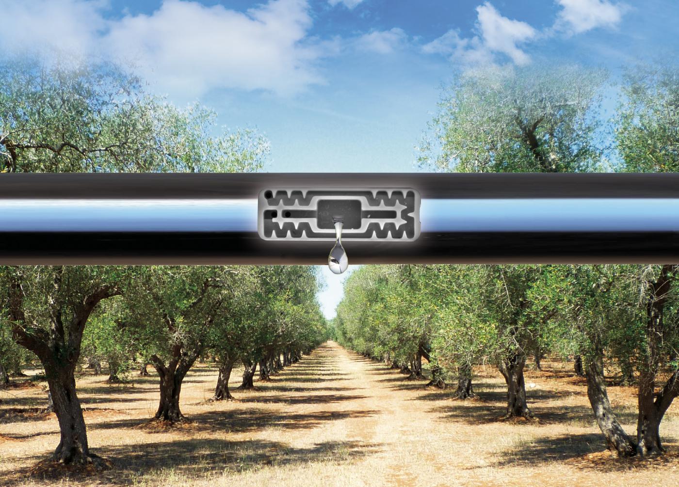 Tub de picurare cu compensator D. 16,  50 cm, 45 mil, minimum 0.5 bar, 2.2 LPH AQUAPRESS® PC  PLASTIC-PUGLIA