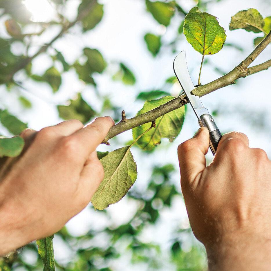 Cutit de gradina (altoit)  CELLFAST