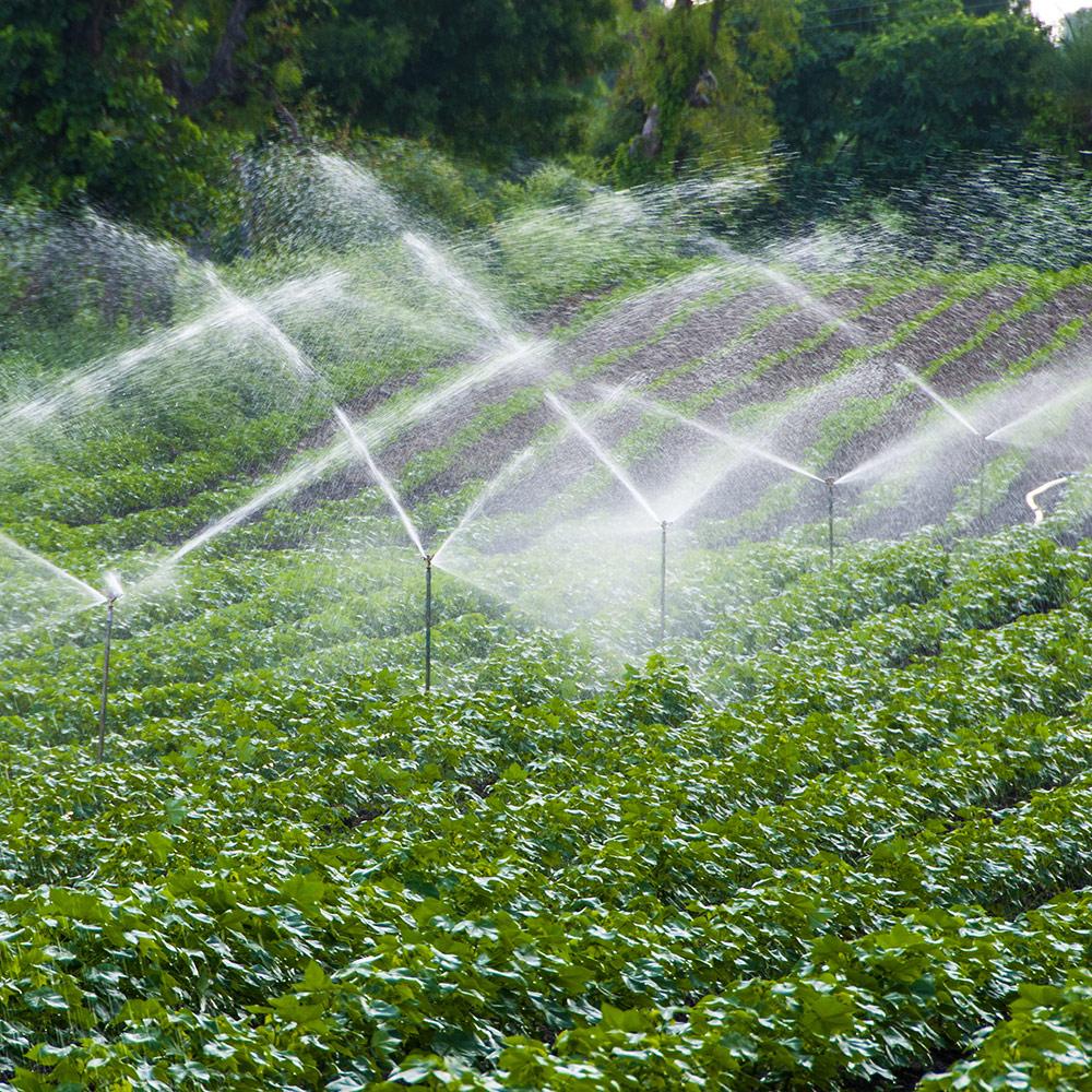 Aspersor sprinkler D. 1" FE reglabil plastic (30º-360º) 13-25 m, 2-5 bar, 5-10 m³/h (rosu) 3404 JUNIOR  ATIGLAN