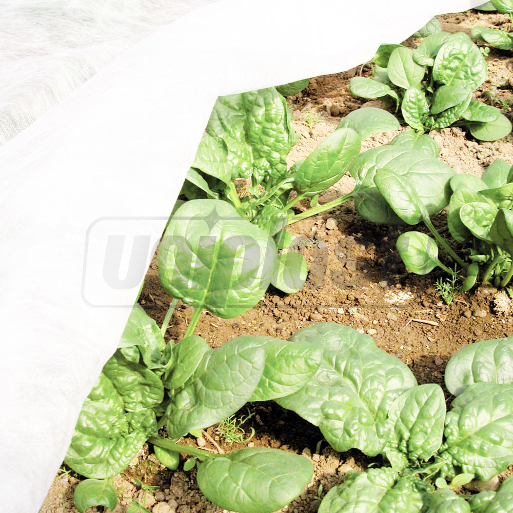 Folie microporoasa agril 50 g/m² (alb) (3.2 m x 10 m) 32 m² AGREEN