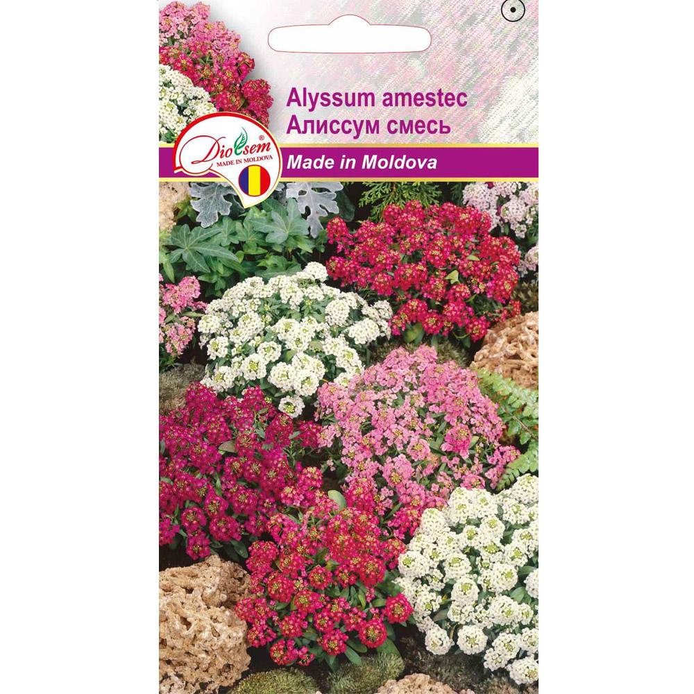 Seminte de Alyssum amestec 0.1 g (1209 30 000)  DS