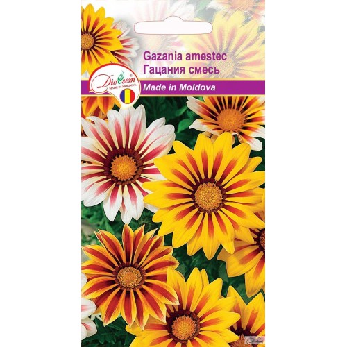 Seminte de Gazania amestec 0.05 g (1209 30 000)  DS