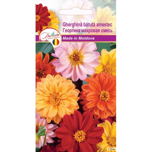 Seminte de Gheorghina batuta amestec 0.15 g (1209 30 000)  DS