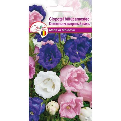 Seminte de Clopotel batut amestec 0.1 g (1209 30 000)  DS (8001)