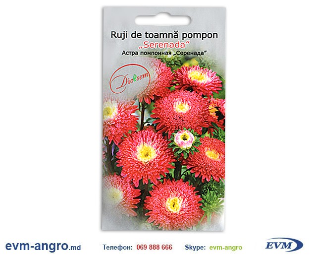 Семена Астра помпонная Серенада 0.2 г  DS