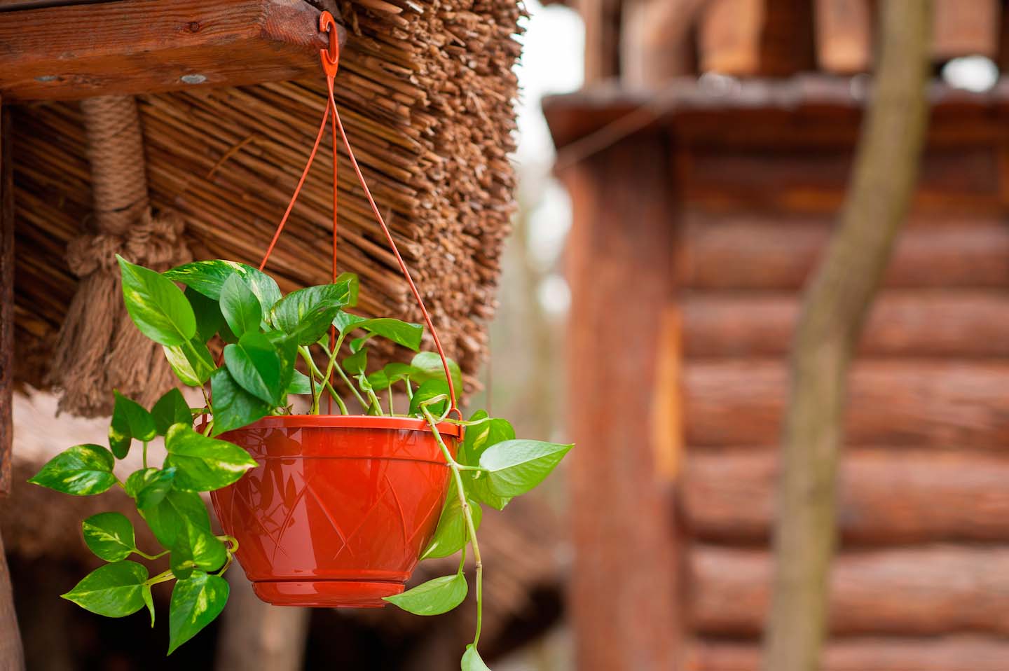 Ghiveci suspendat LILIA 2.5 L fara agatatoare (teracota)