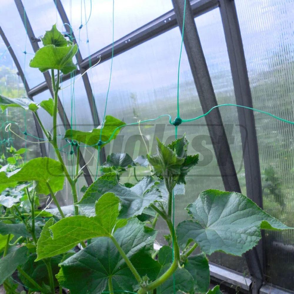 Сетка для огурцов 1.7 м x 10 м (8 г/м²)  UNITAPE