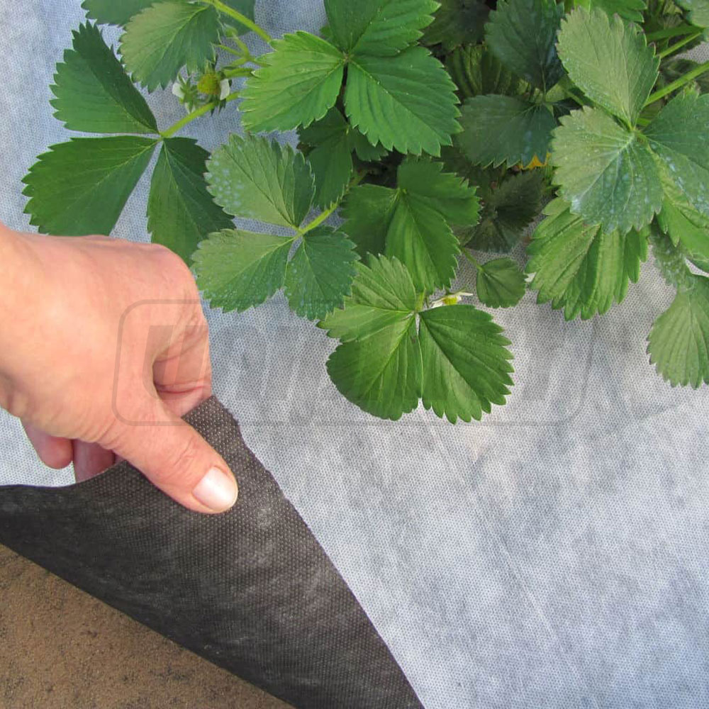 Folie agril (neperforata) 50 g/m² (alb-negru) (1.07 m x 10 m) 10.7 m² AGREEN