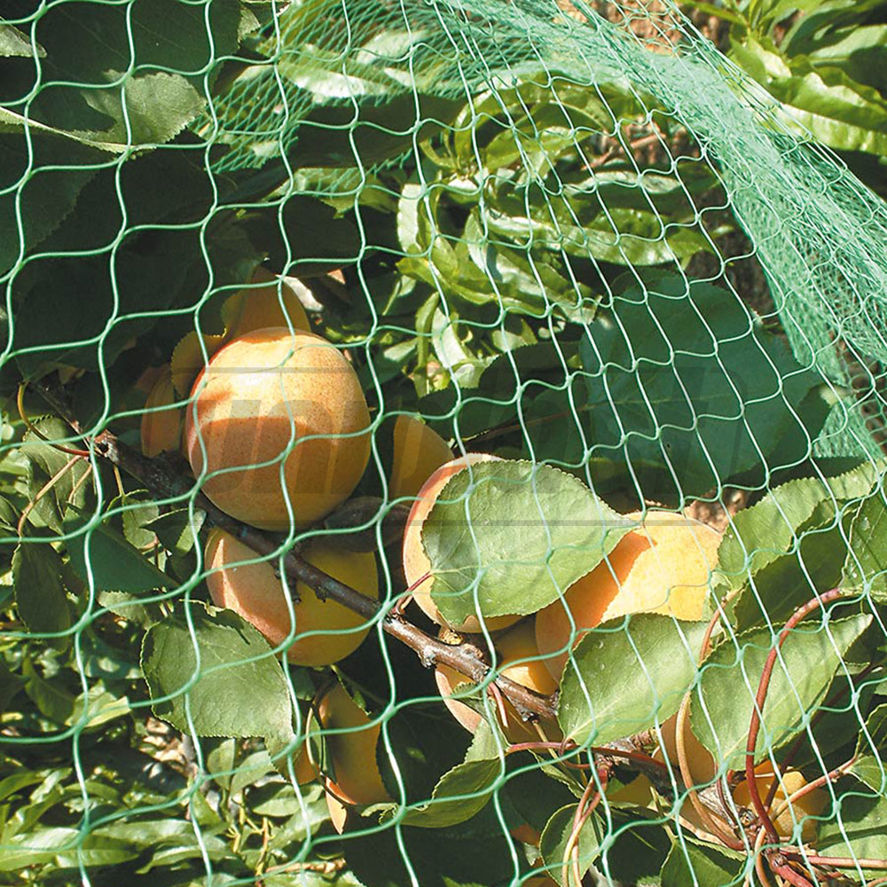 Plasa protectie anti-pasari 19 g/m² (4 m x 10 m) UA