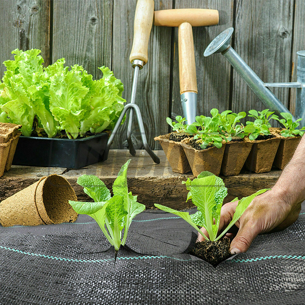 Agrotextil 85 g/m² (negru) (3.2 m х 10 m) 32 m² impotriva combaterii buruienilor AGREEN