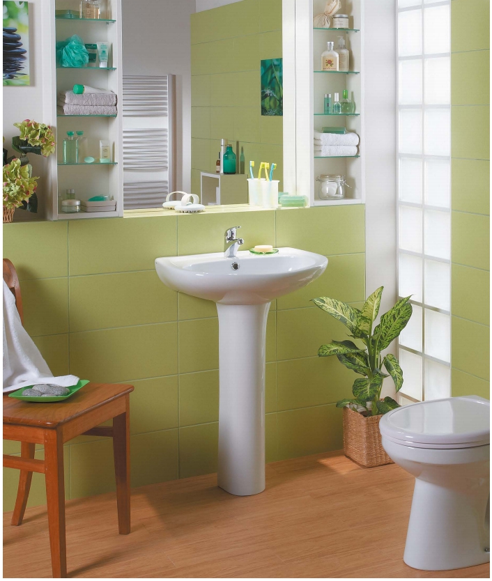 Lavoar cu piedestal semirotund 55 cm Animo fara fixator (+preaplin, fara sifon)  SANTEK SK RU