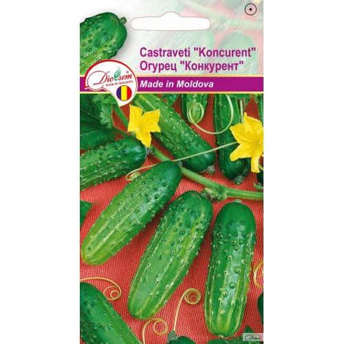 Seminte de Castraveti Koncurent 1 g (1209 91 800)  DS