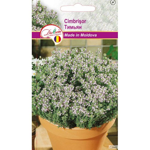 Семена Тимьян 0.1 г  DS