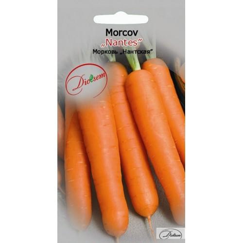 Семена Морковь Нантская 2 г  DS