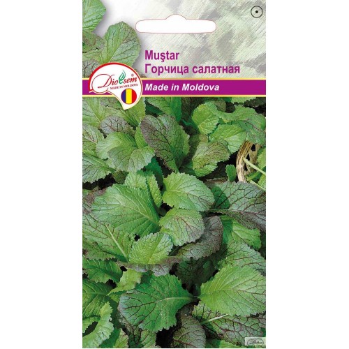 Семена Горчица салатная 2 г  DS