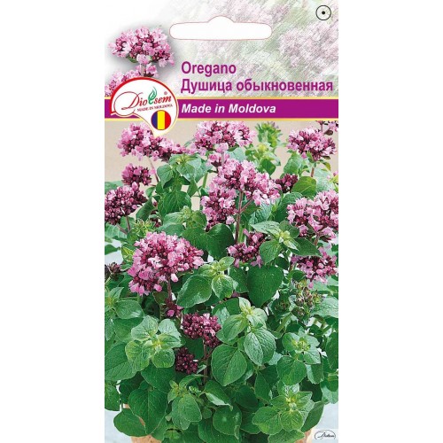 Seminte de Oregano 0.1 g (1209 99 990)  DS