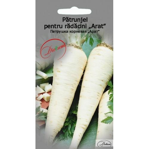 Seminte de Patrunjel pentru radacini Arat 3 g (1209 99 990)  DS