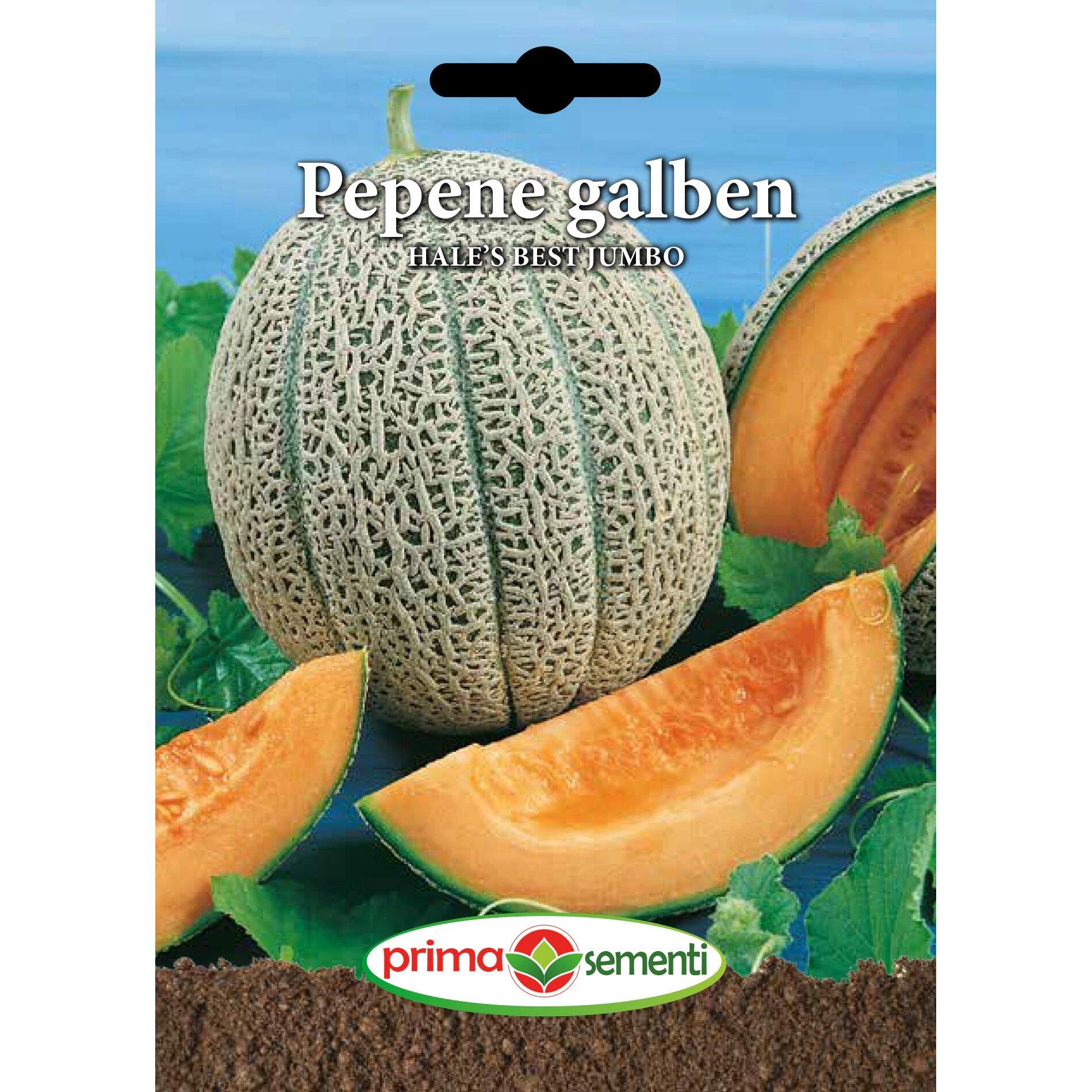Seminte de Pepene galben Hale's Best Jumbo 1 g (1209 91 400)  DS