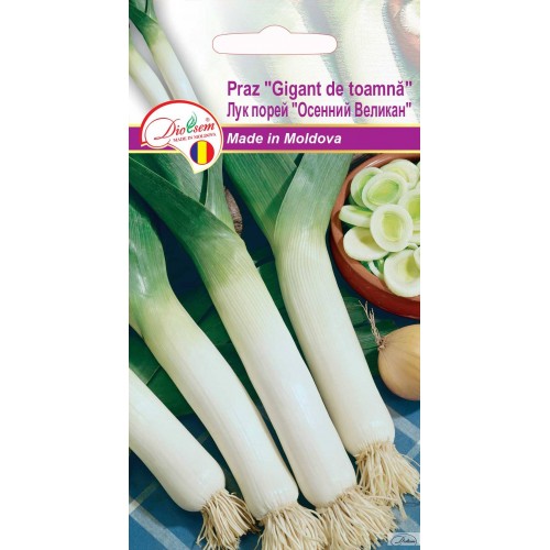 Seminte de Praz Gigant de toamna 0.5 g (1209 91 800)  DS
