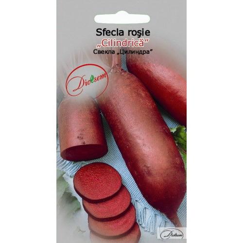 Seminte de Sfecla rosie Cilindrica 3 g (1209 91 300)  DS