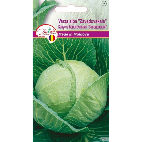 Seminte de Varza alba Zavadovskaia 0.5 g (1209 91 800)  DS
