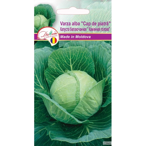 Семена Капуста Каменная голова 1 г  DS