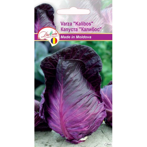Seminte de Varza rosu Kalibos 0.5 g (1209 91 800)  DS