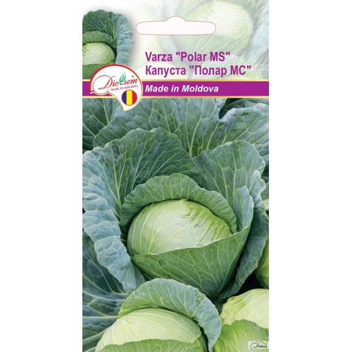 Семена Капуста Полар МС 1 г  DS