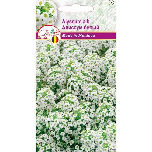 Семена Алиссум белый 0.2 г  DS