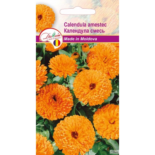 Семена Календула смесь 0.4 г  DS