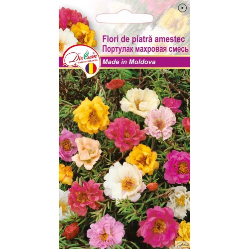 Seminte de Flori de piatra amestec 0.2 g (1209 30 000)  DS