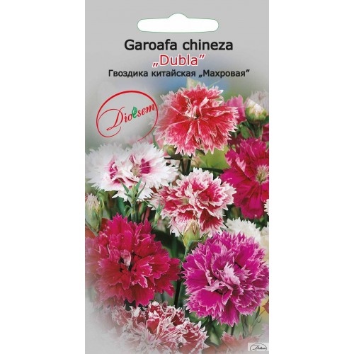 Семена Гвоздика китайская Махровая 0.3 г  DS