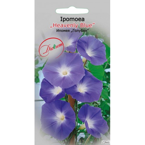Seminte de Ipomoea Heavenly Blue 1 g (1209 30 000)  DS