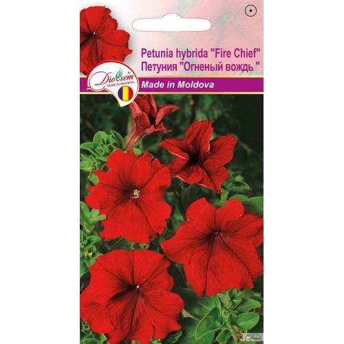Seminte de Petunia Fire Chief 0.1 g (1209 30 000)  DS