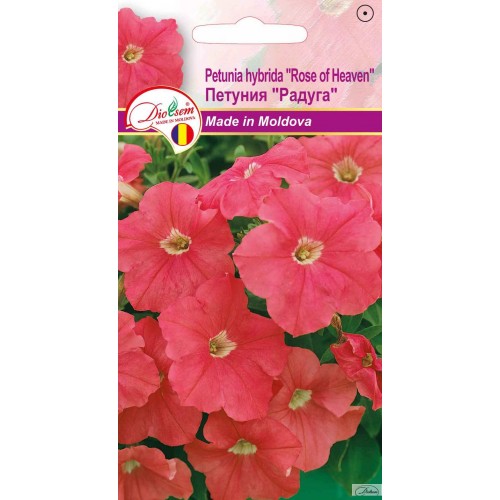 Seminte de Petunia Rose of Heaven 0.1 g (1209 30 000)  DS
