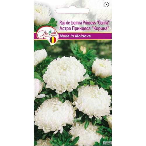 Seminte de Ruji de toamna Princess Corina 0.1 g (1209 30 000)  DS