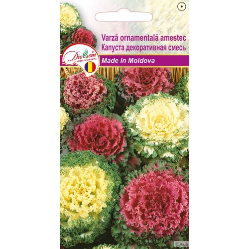 Семена Капуста декоративная смесь 0.1 г  DS