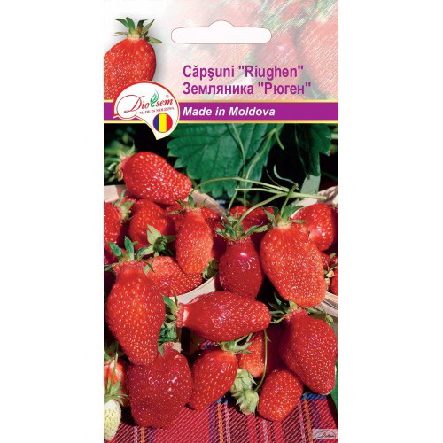 Seminte de Capsuni Riughen 0.1 g (1209 91 800)  DS