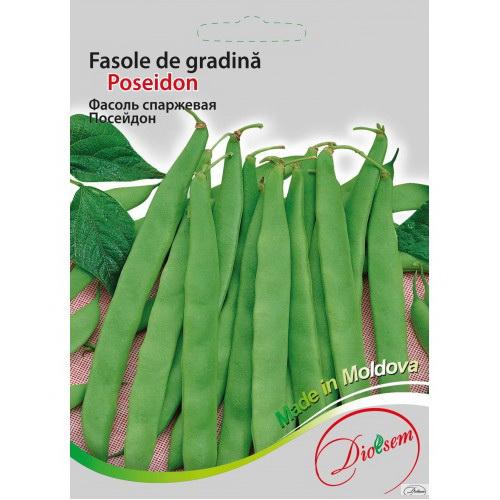 Seminte de Fasole de gradina verde Poseidon 20 g (0713 39 00) DS