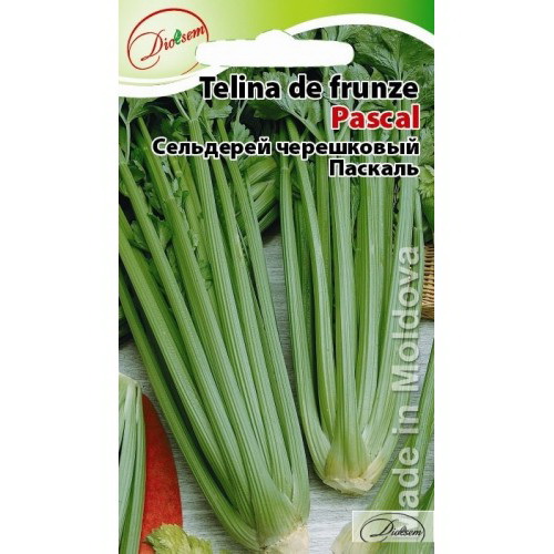 Seminte de Telina de petiol Pascal 0.5 g (1209 99 990)  DS