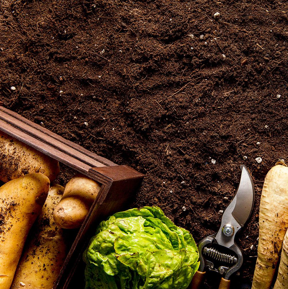 Торфяной субстрат Универсальный 40 л  HOBBY TL   PEATFIELD