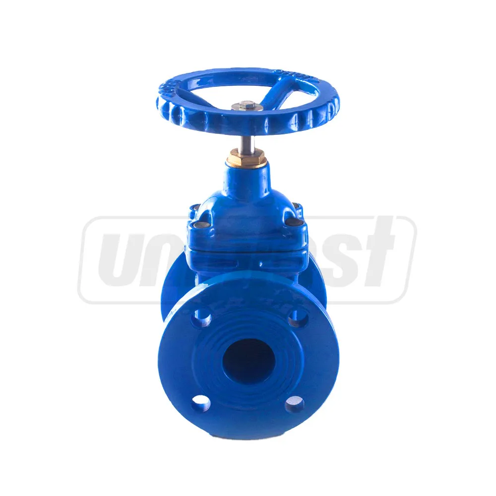 Vana fonta D. 50 PN16 HY